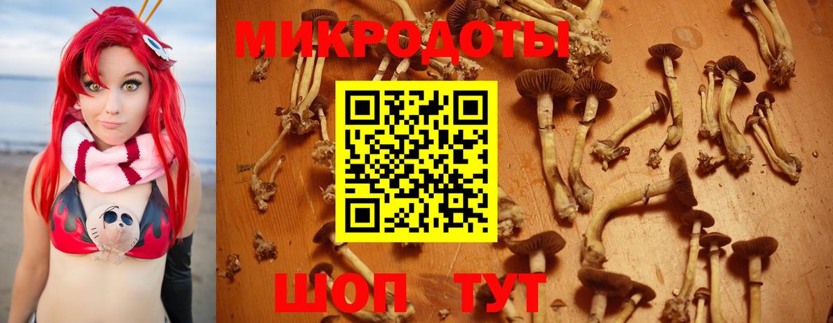Псилоцибиновые грибы Psilocybe  Галлюциногенные грибы мухоморы  Вход с VPN  Зеленогорск 